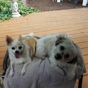 Meet your Posher, Paula